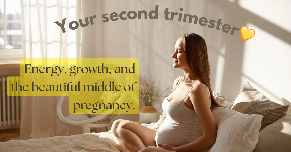 Second Trimester: Energy, Growth, and the Beautiful Middle of Pregnancy