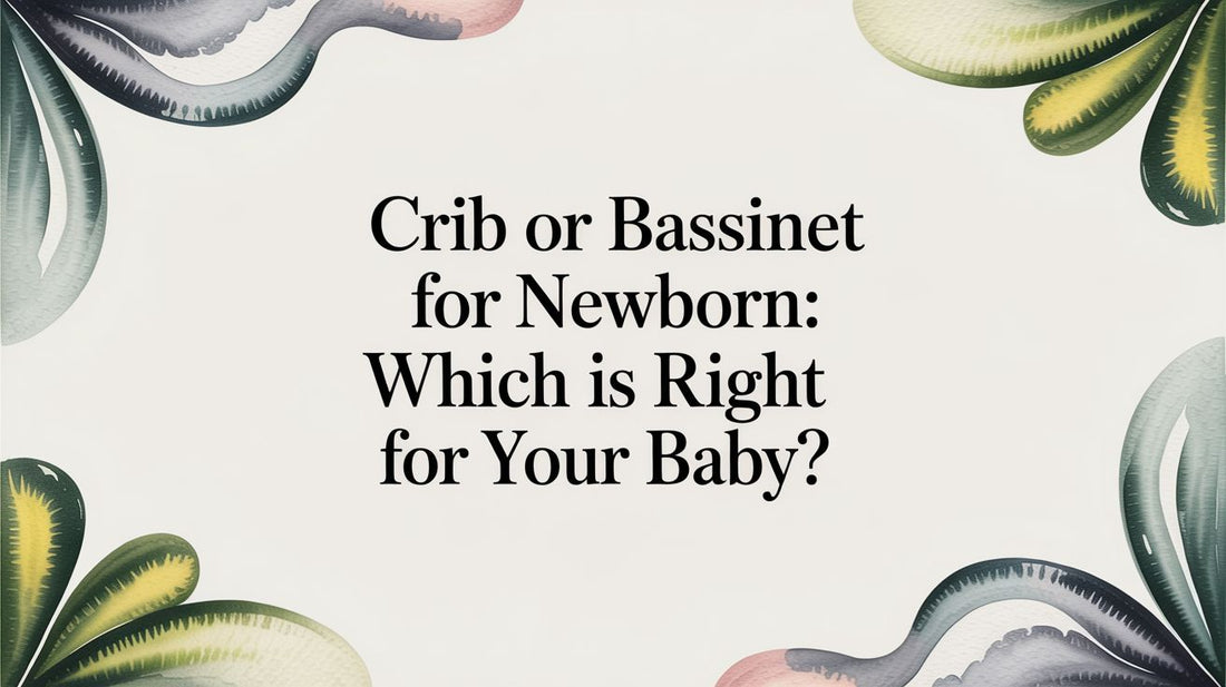 Crib Or Bassinet For Newborn: Which Is Right For Your Baby?