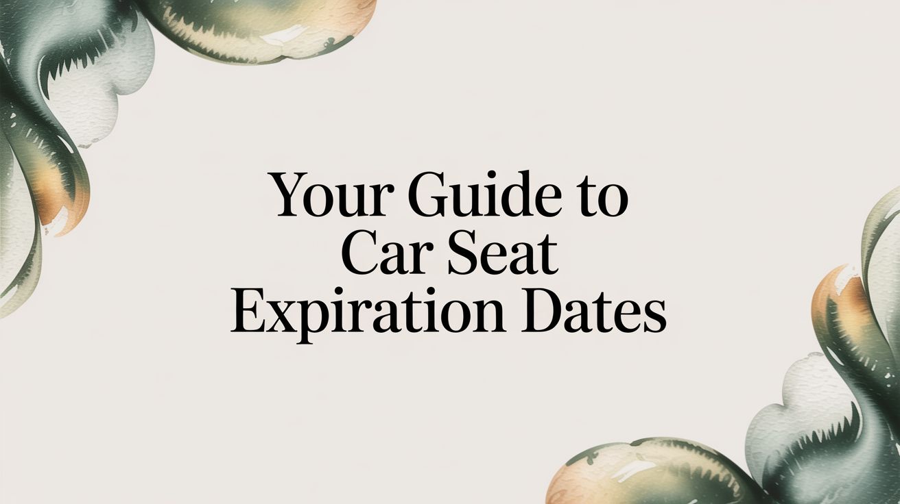 Your Guide to Car Seat Expiration Dates