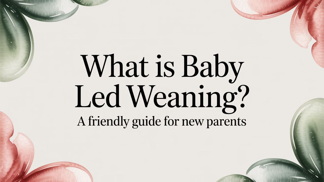What Is Baby Led weaning? A Friendly Guide for New Parents