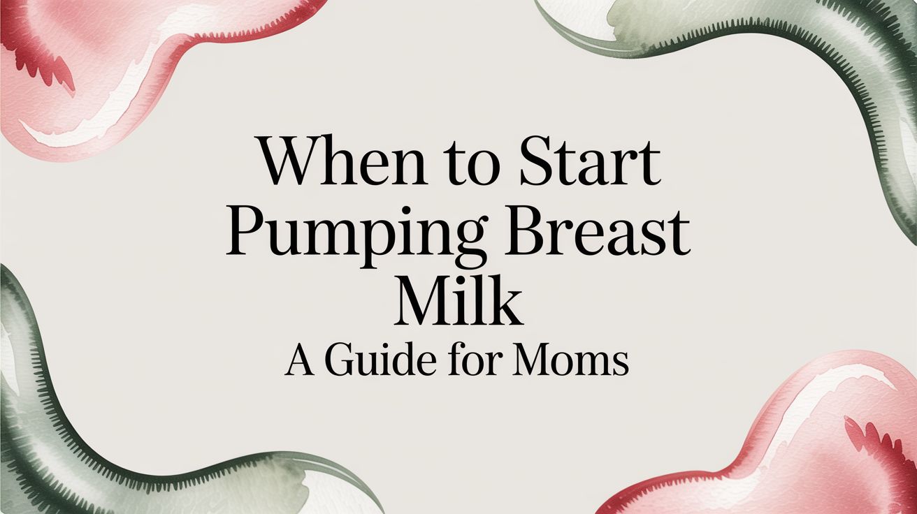 When to Start Pumping Breast Milk A Guide for Moms