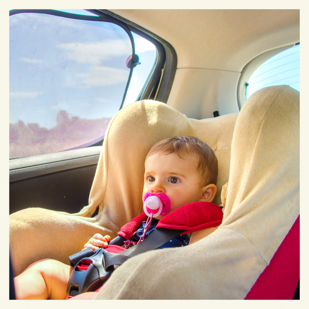 Travel Essentials & Accessories