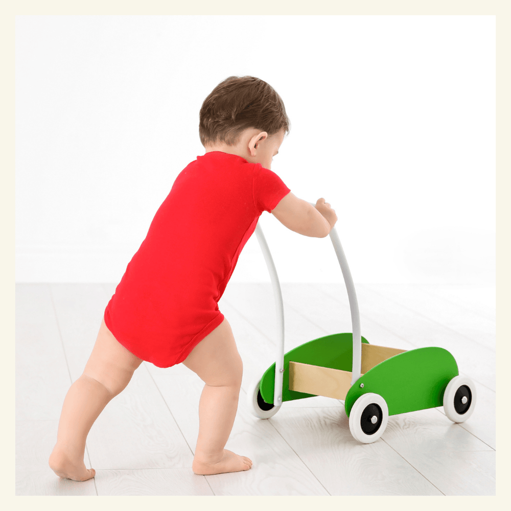 Walkers & Activity Centers