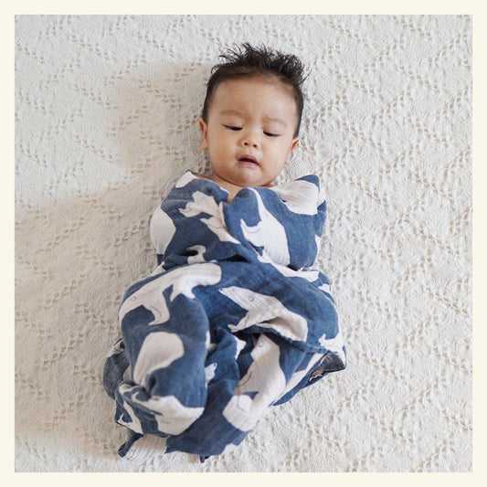 Swaddles & Baby Blankets