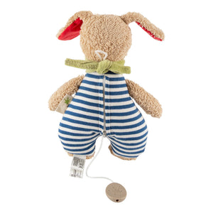 Organic Dog Musical Toy