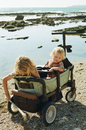 Stroller wagon in Spring Fern color, angled view showcasing its stylish design and spacious interior for babies.