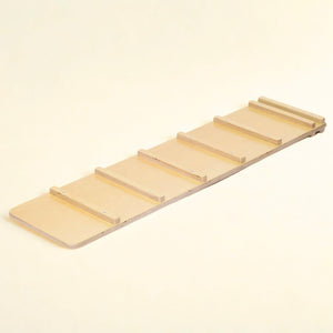 Reversible Climbing Ramp