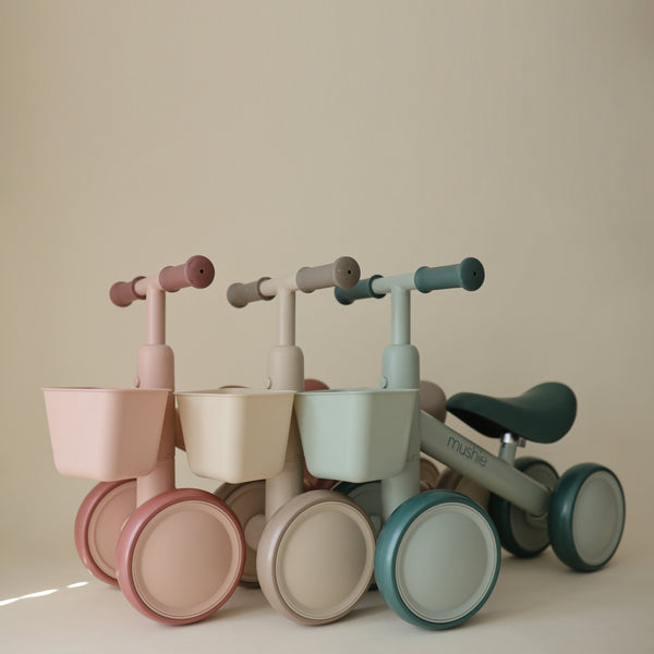 Mini Toddler Bike