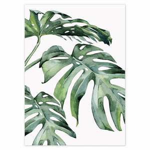 Plantae Canvas Painting (9 Pack)