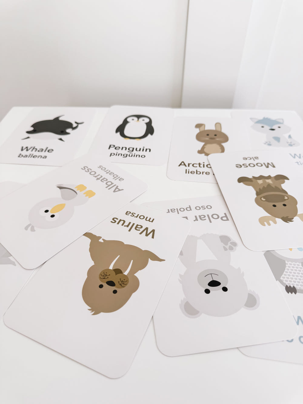 Arctic Animals Flashcards for babies, featuring colorful illustrations and engaging learning activities.