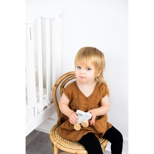 Wooden Bunny Push Toy