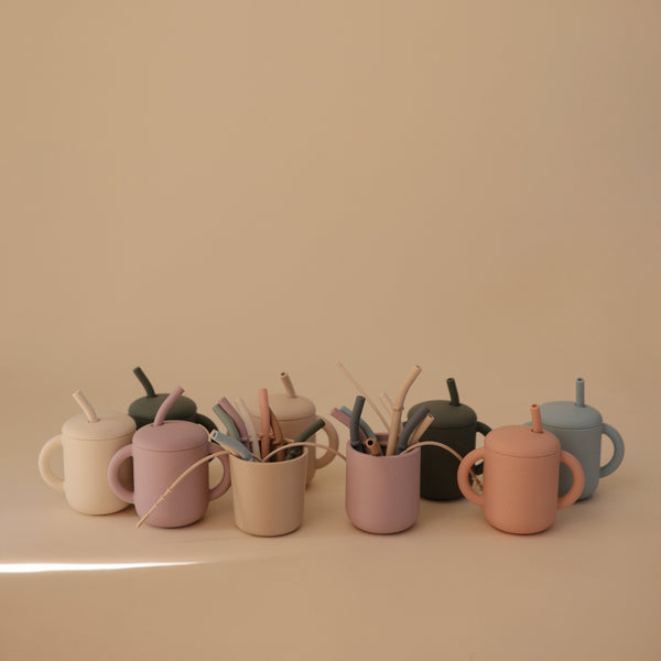 Silicone Replacement Straws - 5 Pack