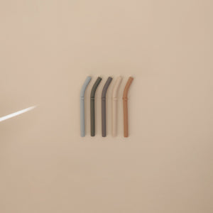 Silicone Replacement Straws - 5 Pack