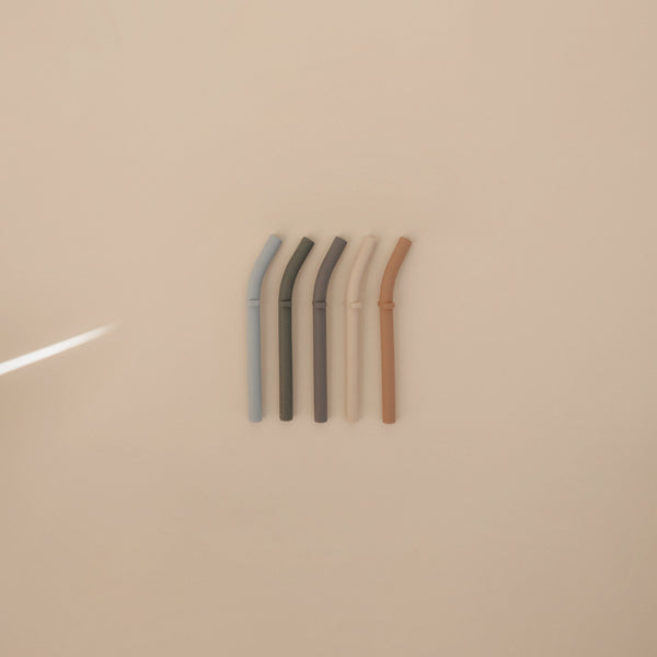 Silicone Replacement Straws - 5 Pack