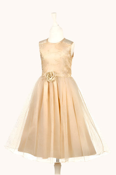 Noraline Fancy Dress for girls - stylish party apparel in three sizes for special events.