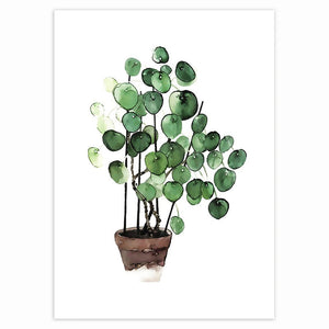 Plantae Canvas Painting (9 Pack)