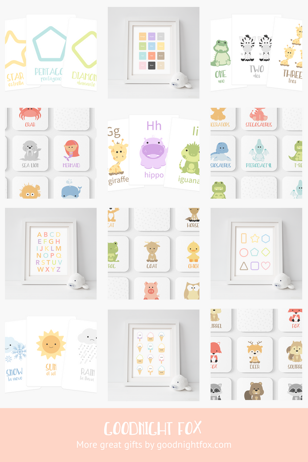Woodland Animal Flashcards