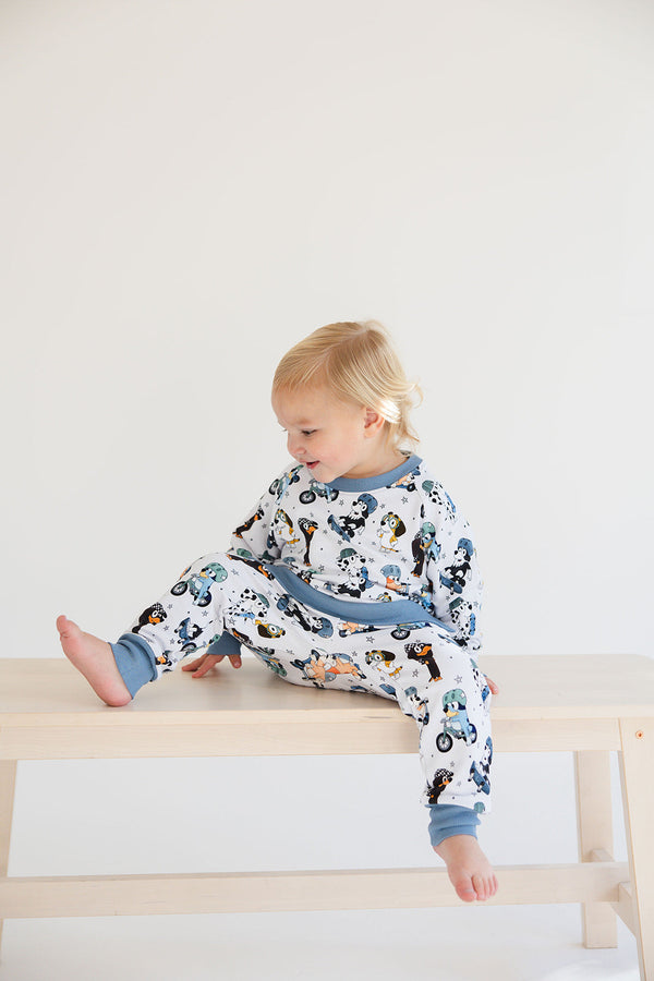 Canine Cruisers: Sweatshirt Only