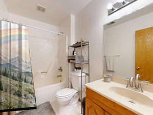 Mountain River Rainbow shower curtain on a tub shower combo in an American family bathroom