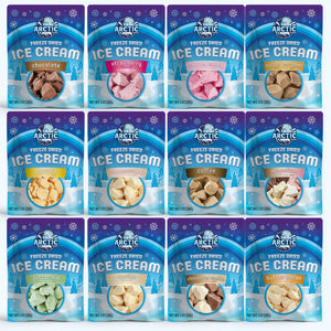 Freeze Dried Ice Cream Bundle (1oz Bags)