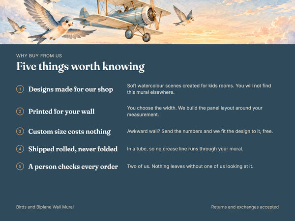 Watercolor Birds and Biplane Wall Mural, image 10