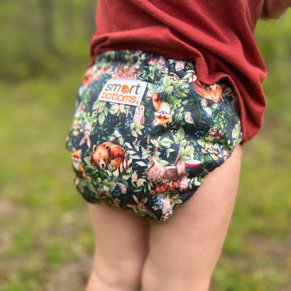 Dream Diaper 3.0 Natural Fiber Pocket Diaper - Brambleberry