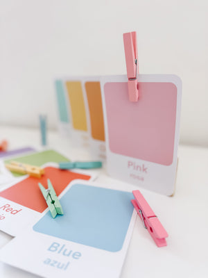 Color Sorting Flashcards