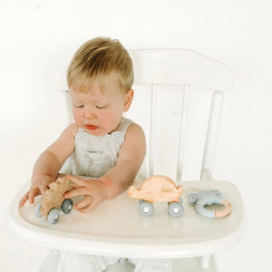 Beechwood Rollin’ Friends - Turtle