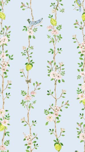 Lemon Squeezy - Girl's Swim