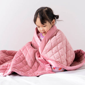 Dreamland Baby Weighted Toddler Blanket 36x48 4 lb Minky Micro-fleece