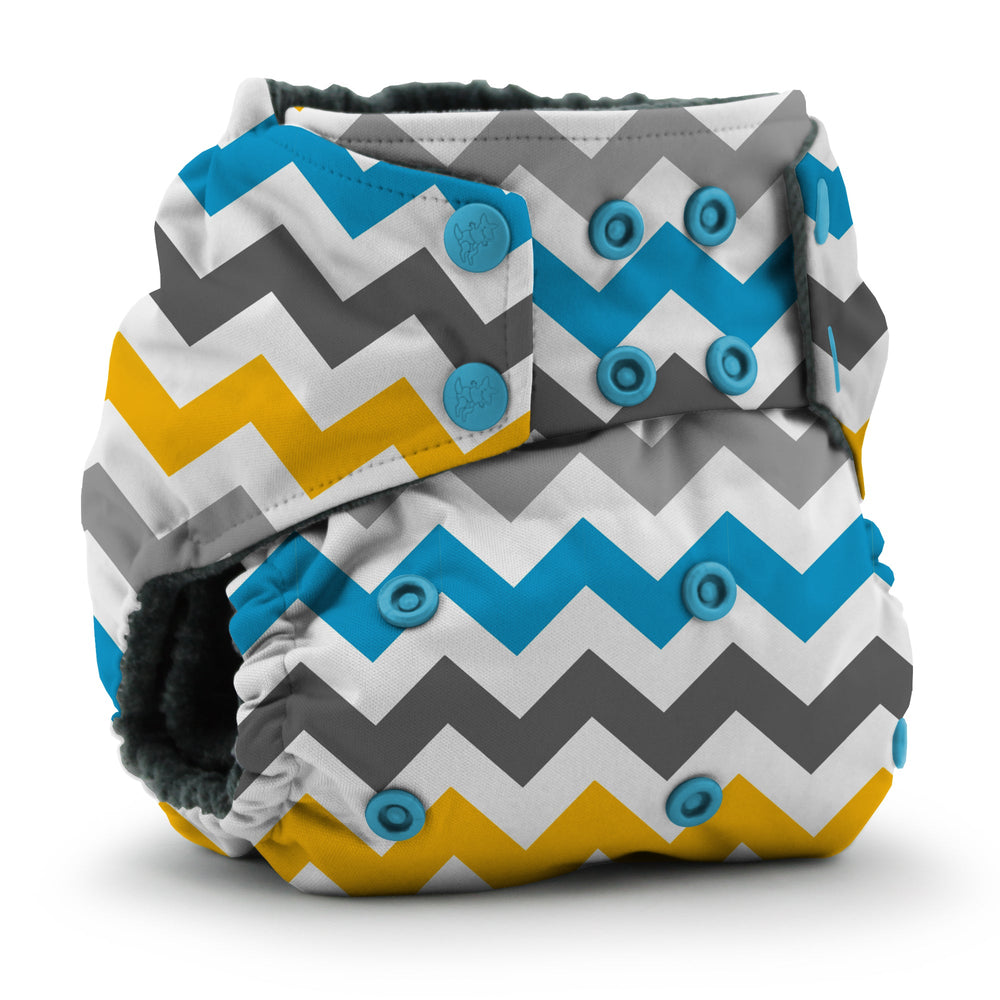 Rumparooz OBV One Size Pocket Cloth Diaper - Charlie