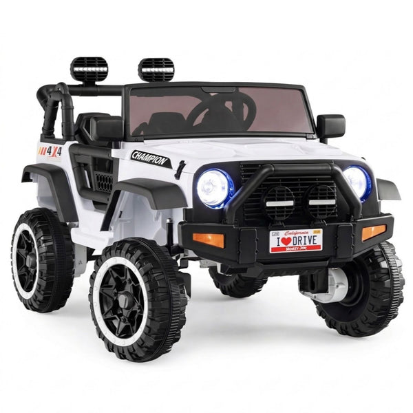 24V 2-Seater Kids Ride On Truck 2WD/4WD with Lockable Doors and Music