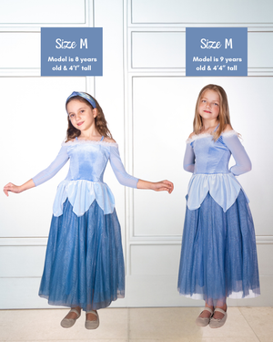 The Blue Sleeping Princess Dress