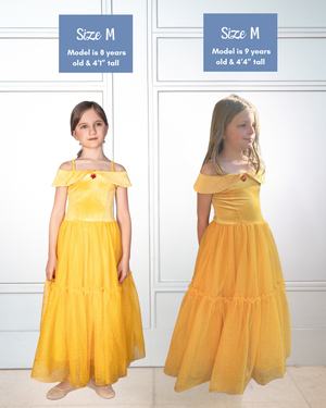 The Enchanted Rose Princess Dress