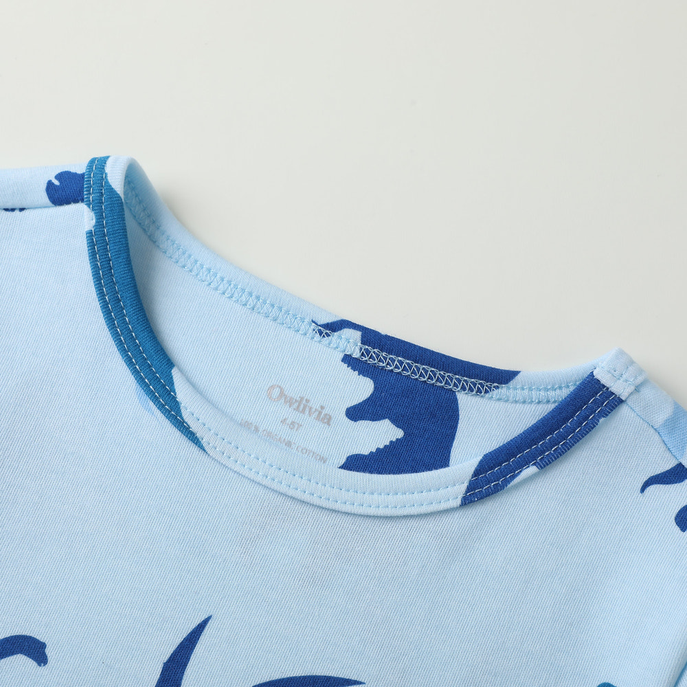 100% Organic Cotton Toddler Summer 2 Piece short sleeve Pajama Set - Blue Dinosaur