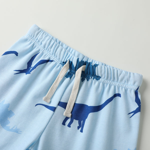 100% Organic Cotton Toddler Summer 2 Piece short sleeve Pajama Set - Blue Dinosaur