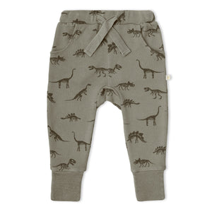 Organic Kimono Onesie & Pants Set - Dino