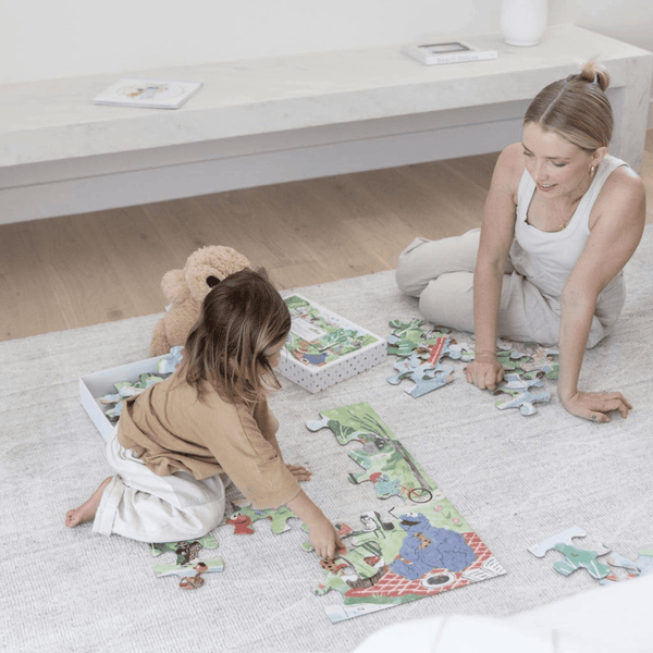 Sesame Street Adventure Bundle
