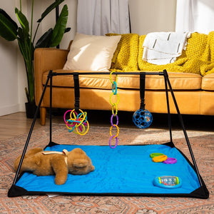 A to Z Adventure Gear Lay and Play Adventure Mat fits in carry-ons