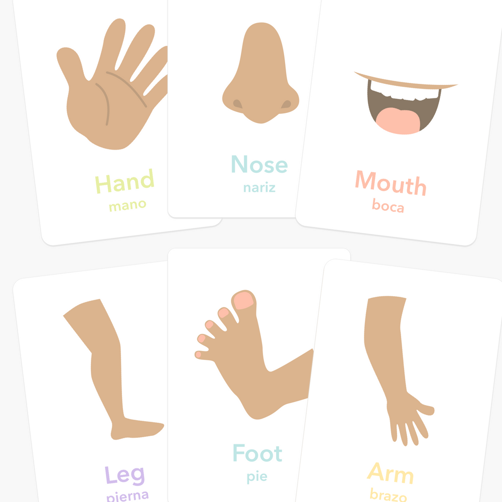 "Colorful body parts flashcards for early learning and sensory play for babies and toddlers."