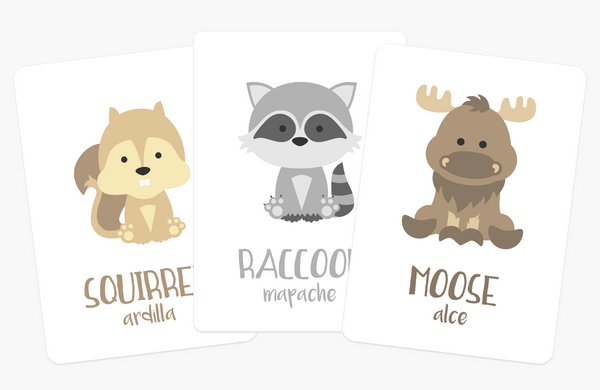 Woodland Animal Flashcards