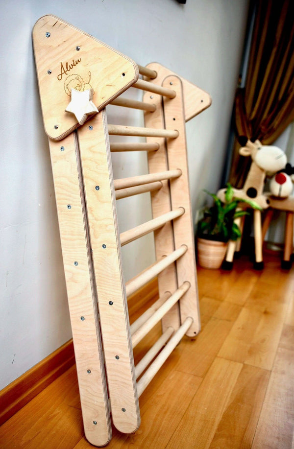 Climbing Triangle, Arch Rocker, Pillow, and 2in1 Ramp / 4 Pieces Set