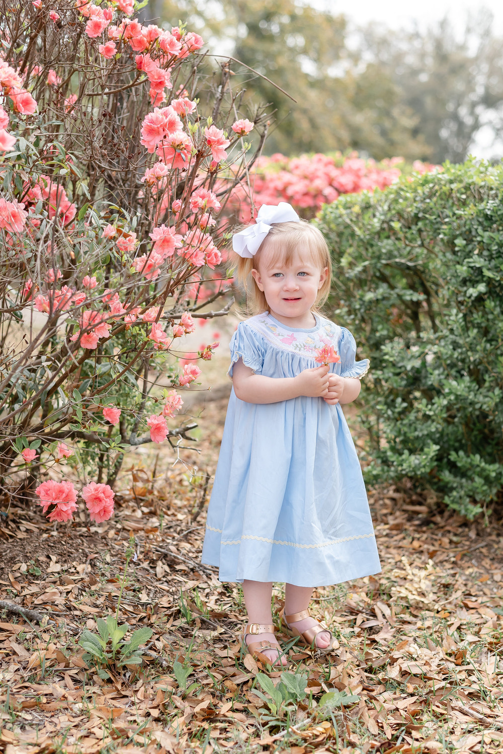 Light blue Easter smocked bishop dress for babies, perfect for spring celebrations and special occasions.