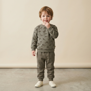 Organic Fleece Sweatshirt - Dino