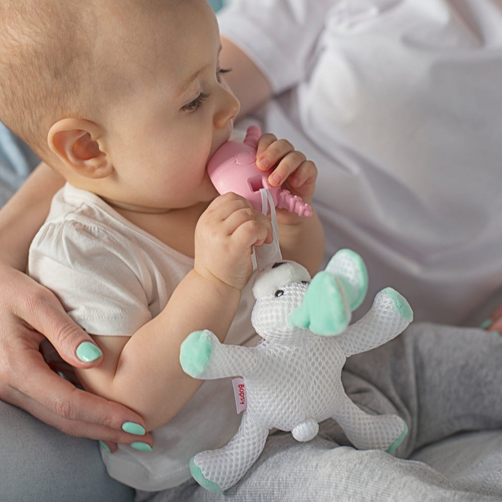 Bopsy Mint Bunny Teething Pal Attachment for Egg and Molar Magician - Cute pacifier case for babies.