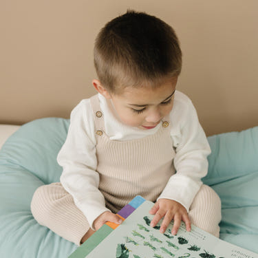 Toddler Lounger Pillow in Eucalyptus - Cozy bedding for restful sleep and comfort for your little one.