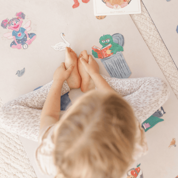 Sesame Street Adventure Bundle