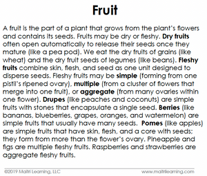 Maitri Learning Fruit Toddler Cards photo vocabulary flashcards