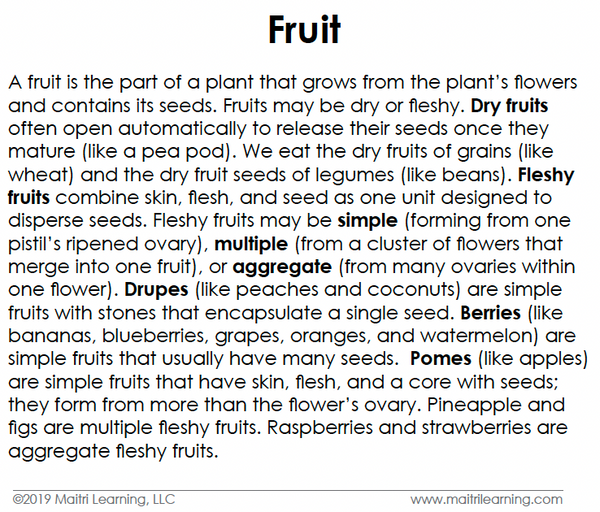 Maitri Learning Fruit Toddler Cards photo vocabulary flashcards