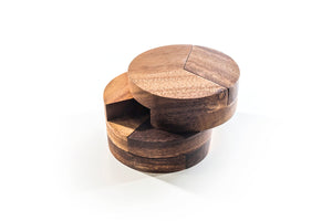 4 Circles - Brain Teaser Puzzle for Kids